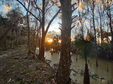 Sunset from the rear of the park along our trail at Gators Tiny Homes
