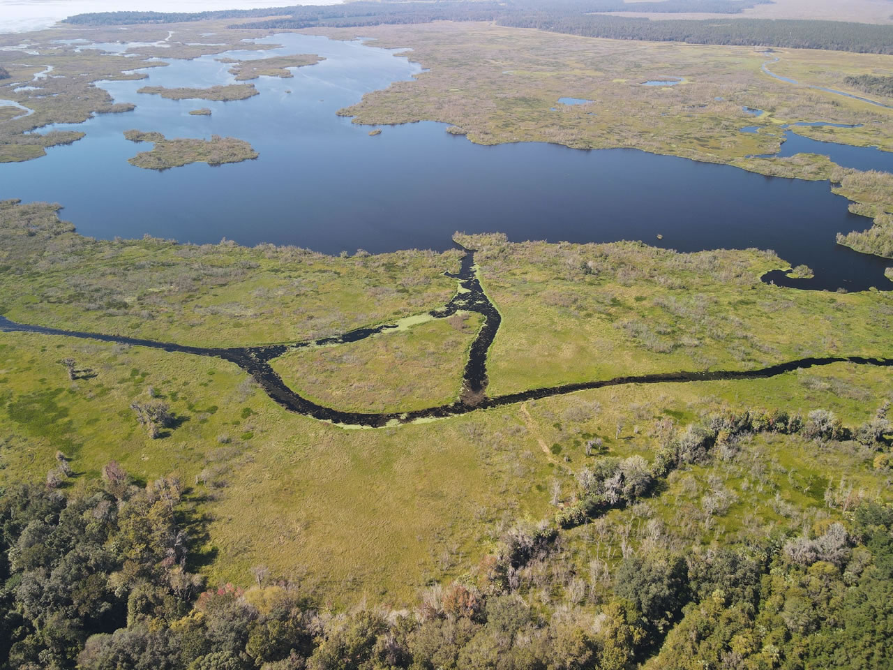 Ariel Shot of Orange Lake behind Citra Royal Palm RV Park