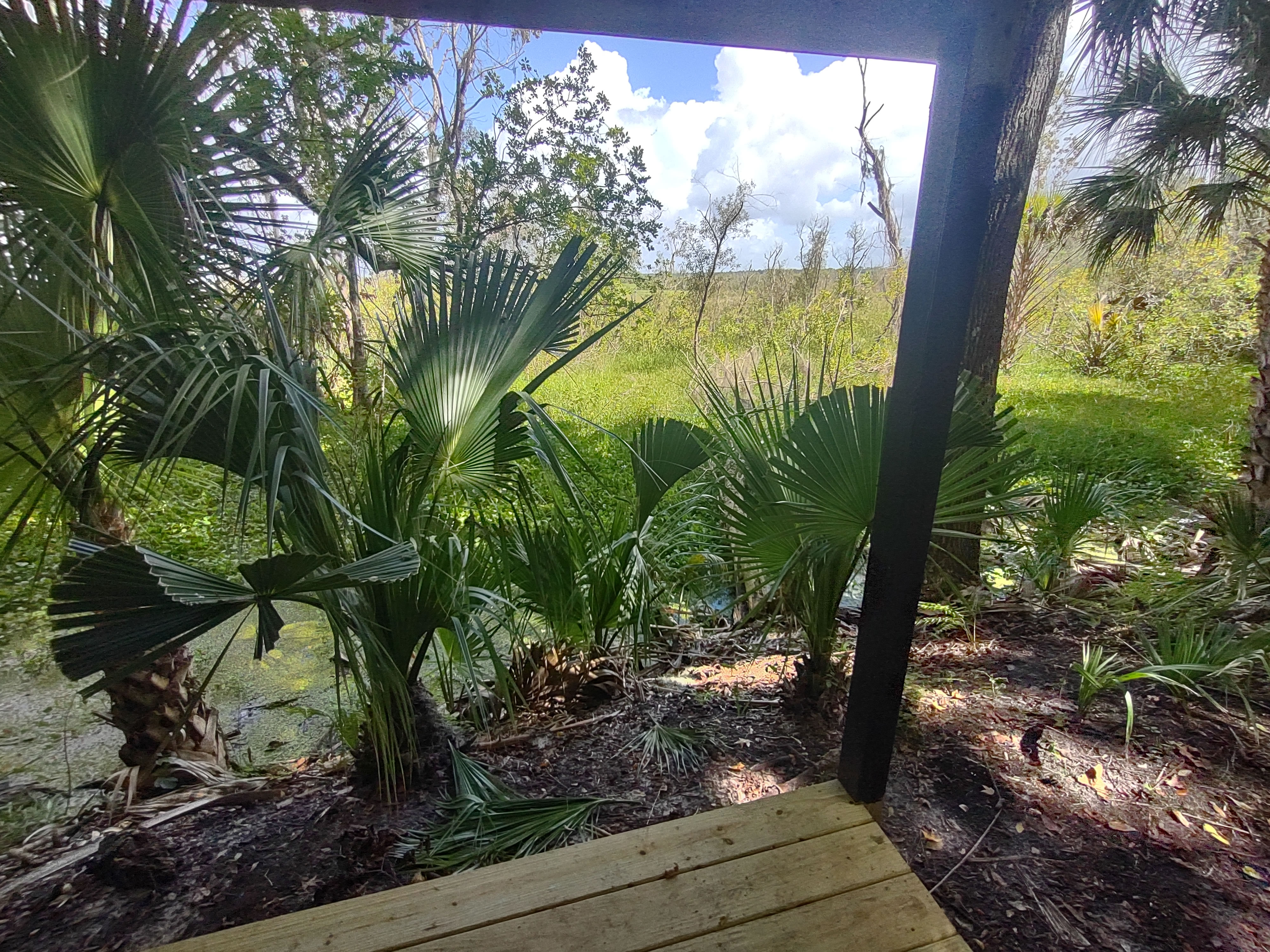 A deck from a tiny home looking over the prairie at the rear of the property