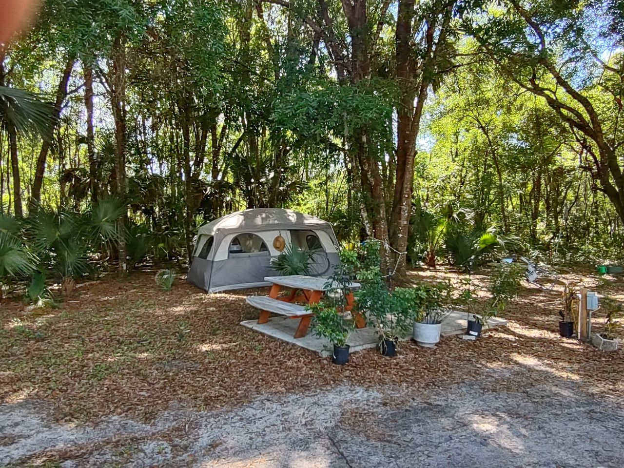 Tent Camping Site At Citra Royal Palm RV Park