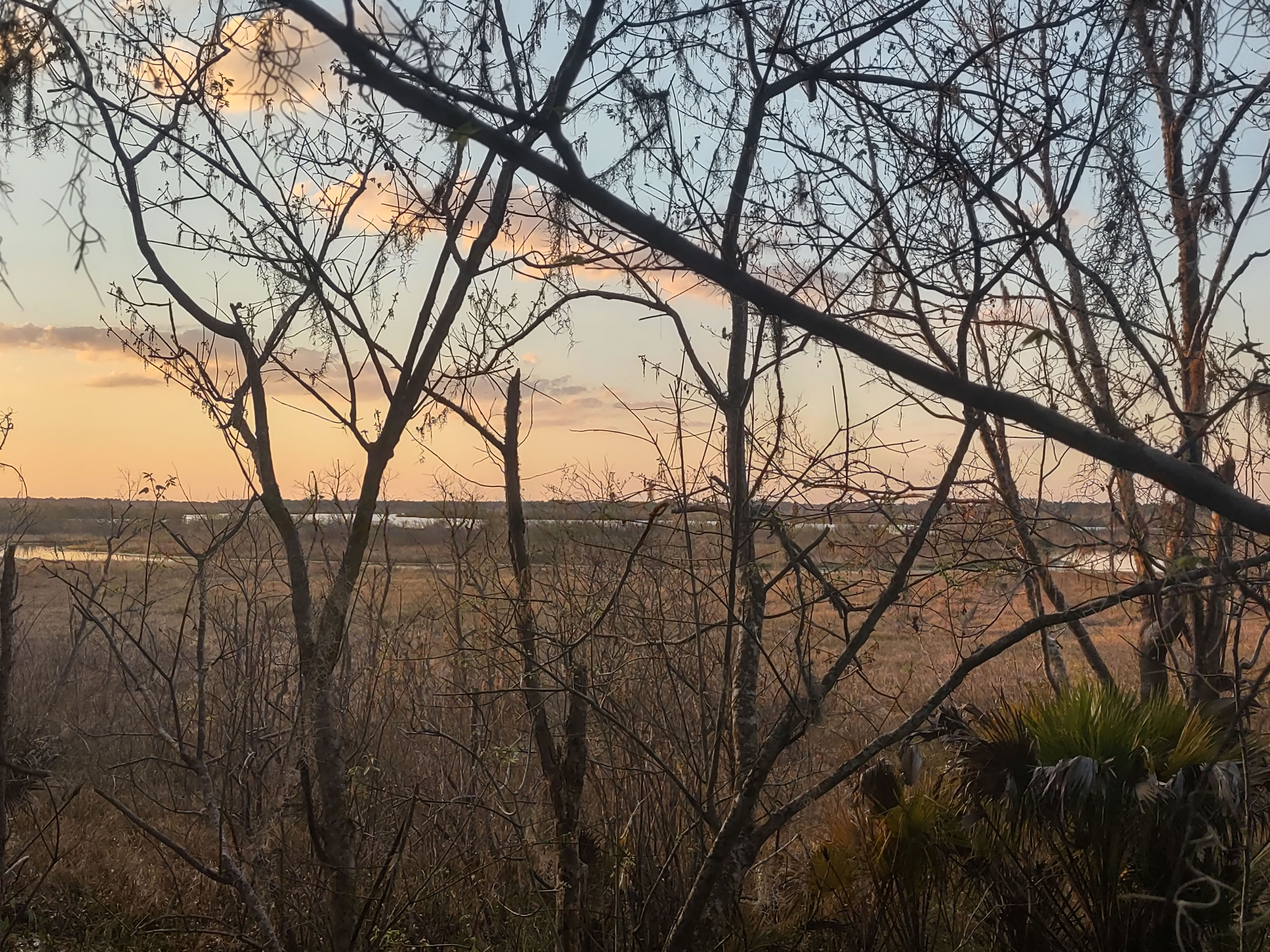 The prairie that leads to Orange Lake behind Gators Tiny Homes