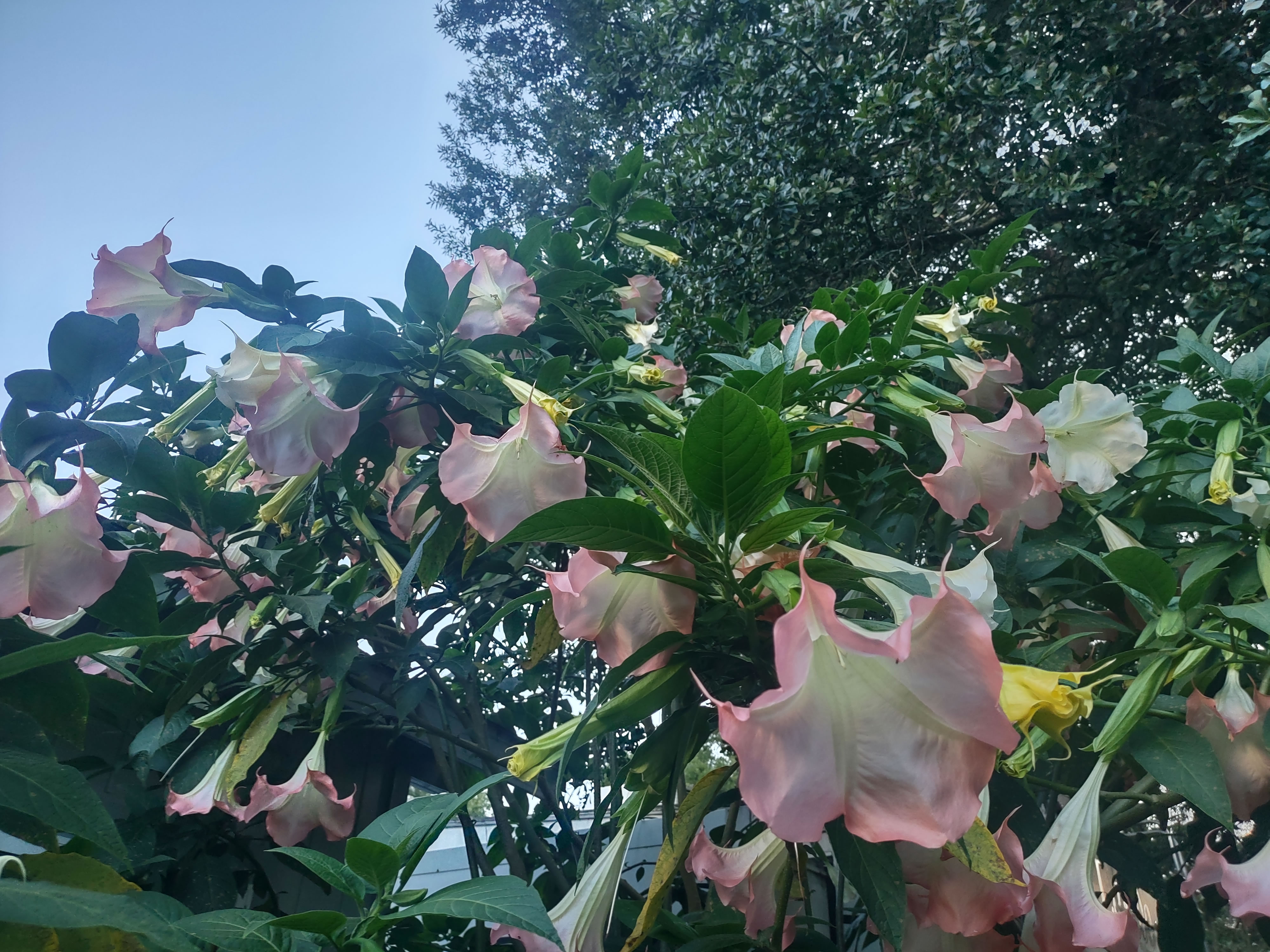 Beautiful flowers and landscaping throughout the park